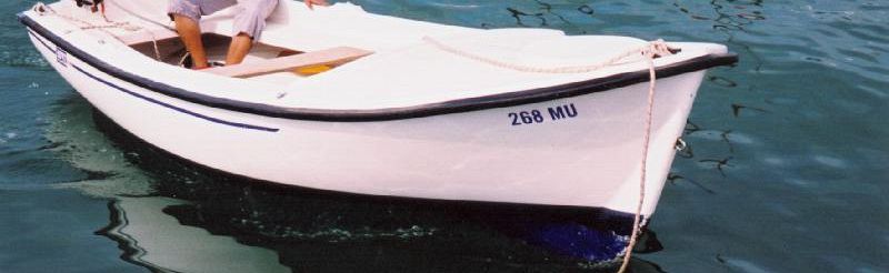elan-p-490 elan-p-490